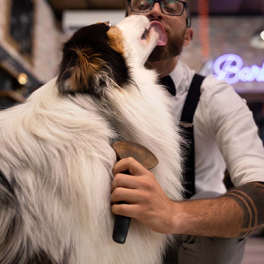 Pettine per cane a rastrello Barbershop