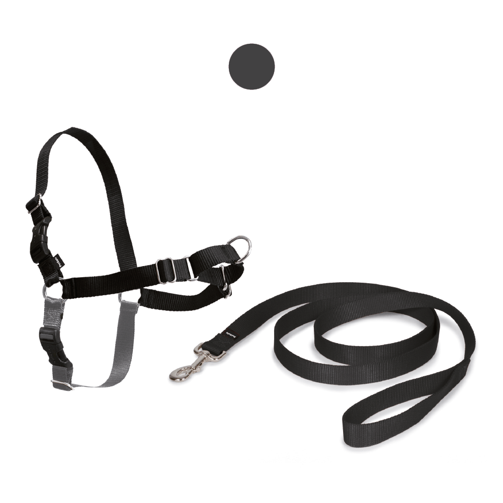 pettorina per cani nera easy walk