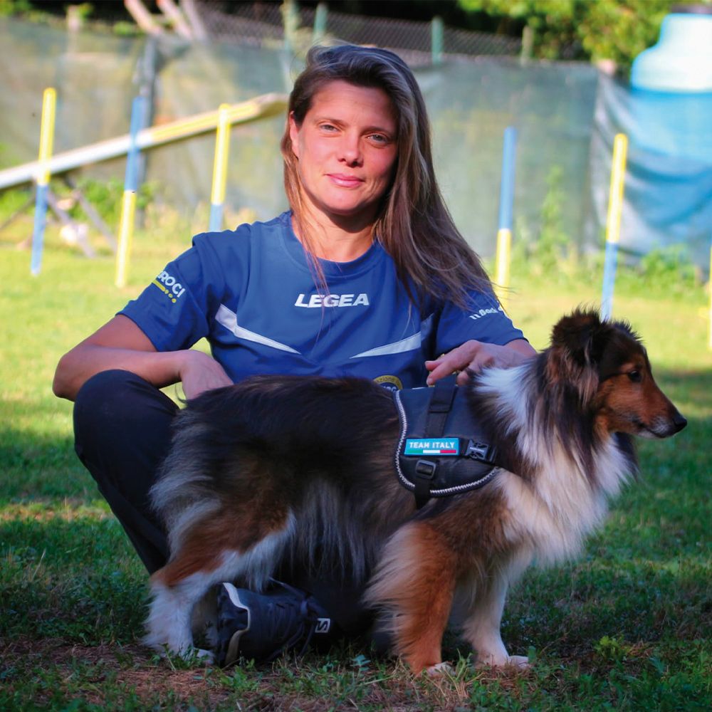 Hiking dog harness - Basic