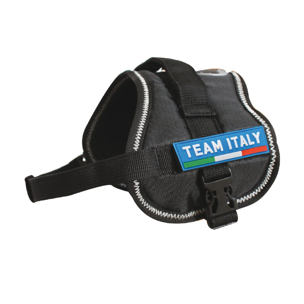 Hiking dog harness - Basic