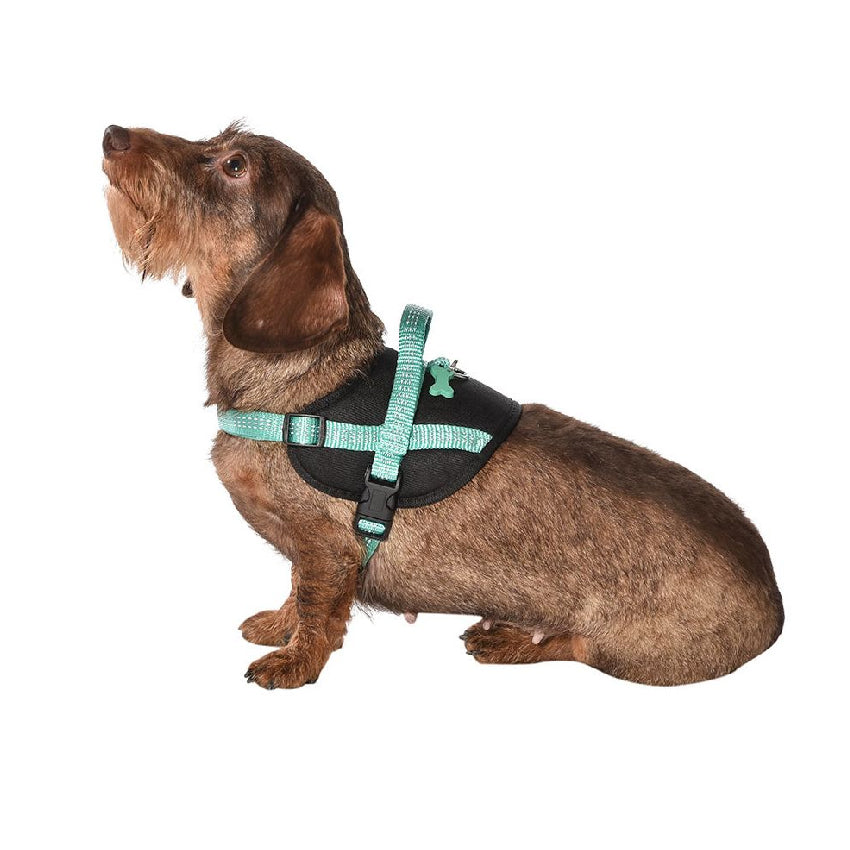 Bobby dog harness - Easy Safe