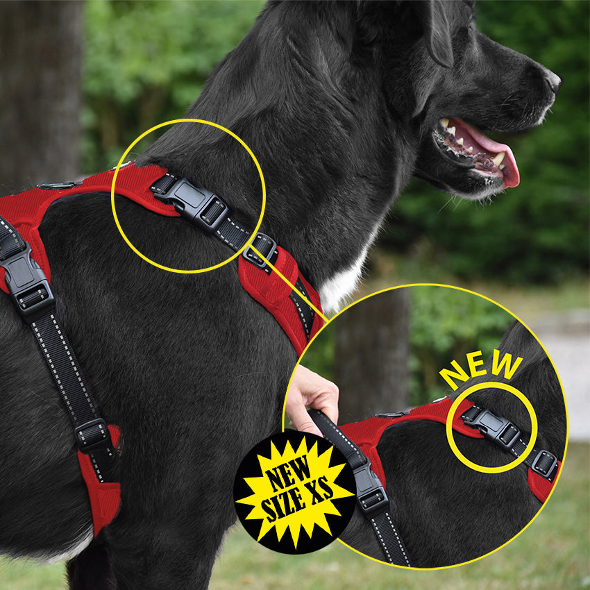 Anti-shooting harness - Bobby Rando Walk