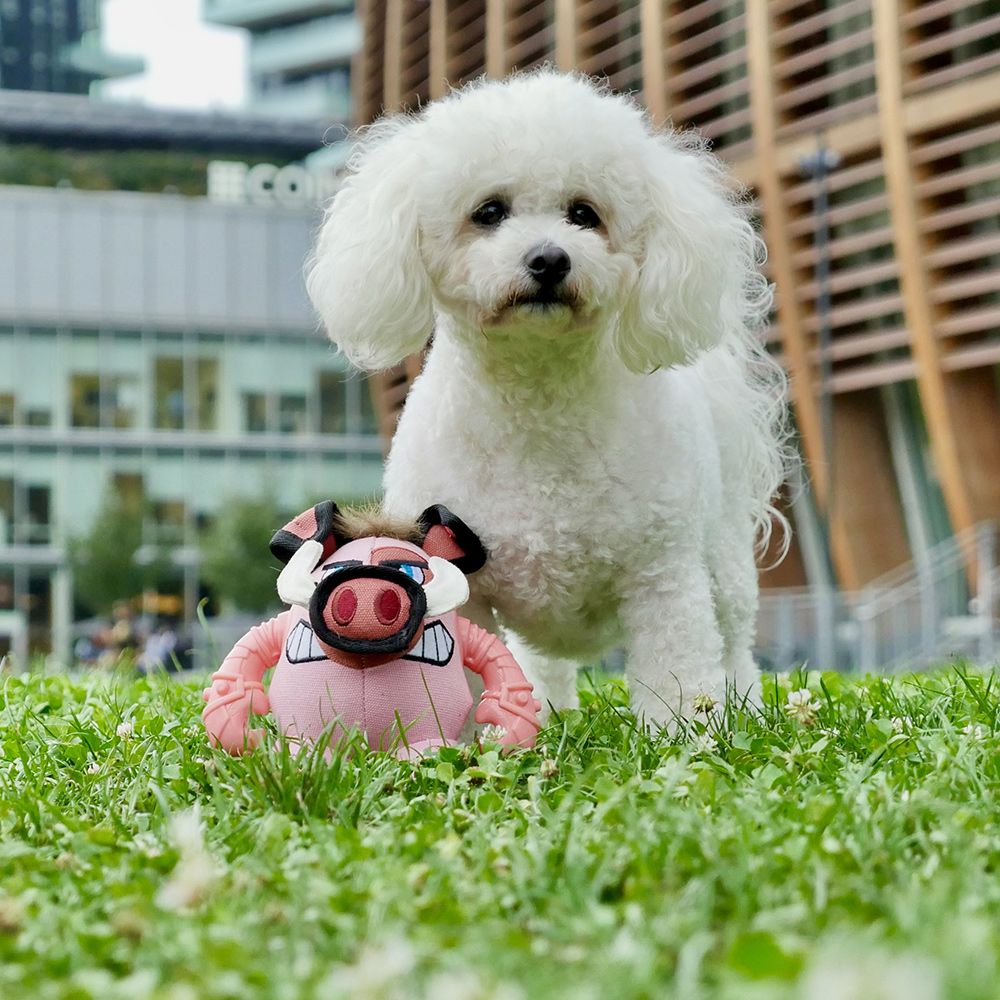 Plush Dog Game - Warriors Pigo