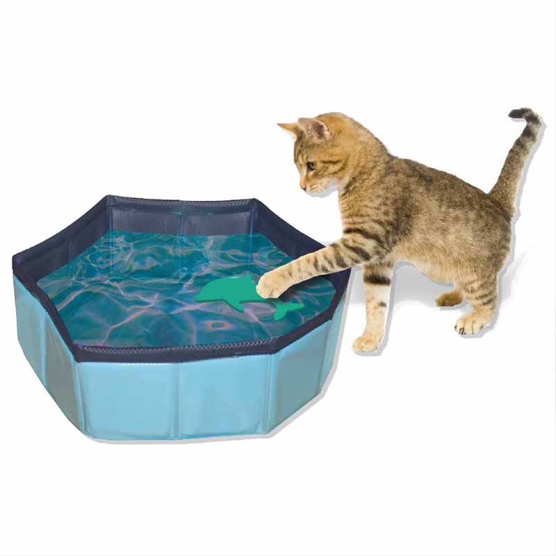 CROCI Piscine pour Chats Pliable