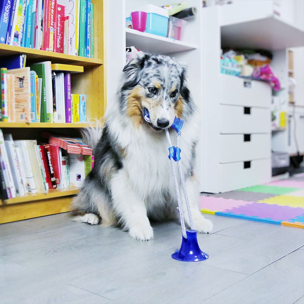 Pull&Play with Stick Game for Dogs