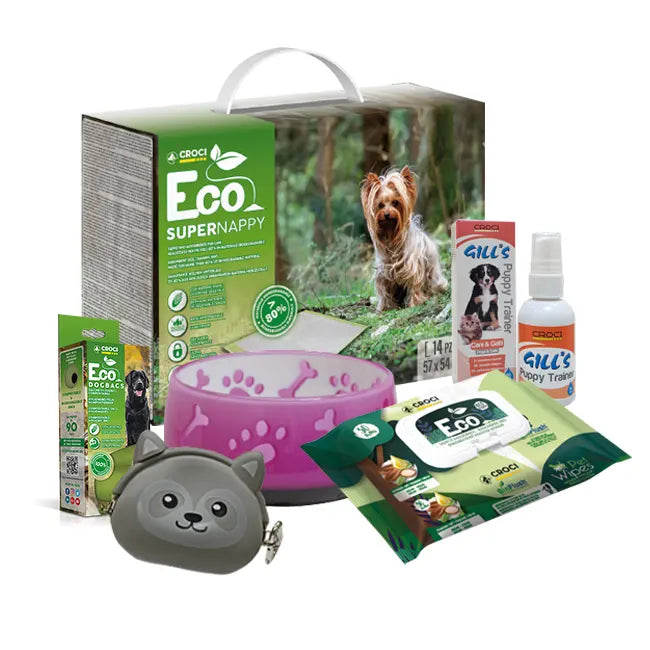 Pack Accessori per Cuccioli di Cane