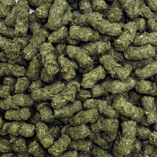 Roger Green - Food for Dwarf Rabbits
