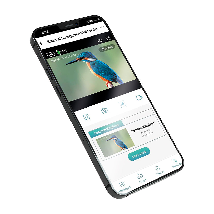Mangiatoia Smart WiFi: mangiatoia per uccelli con telecamera HD