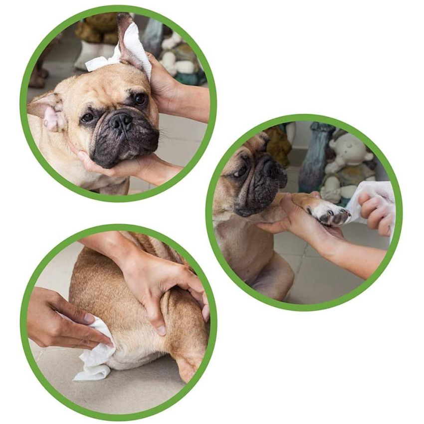 Salviette naturali per cani Eco Pet Wipes