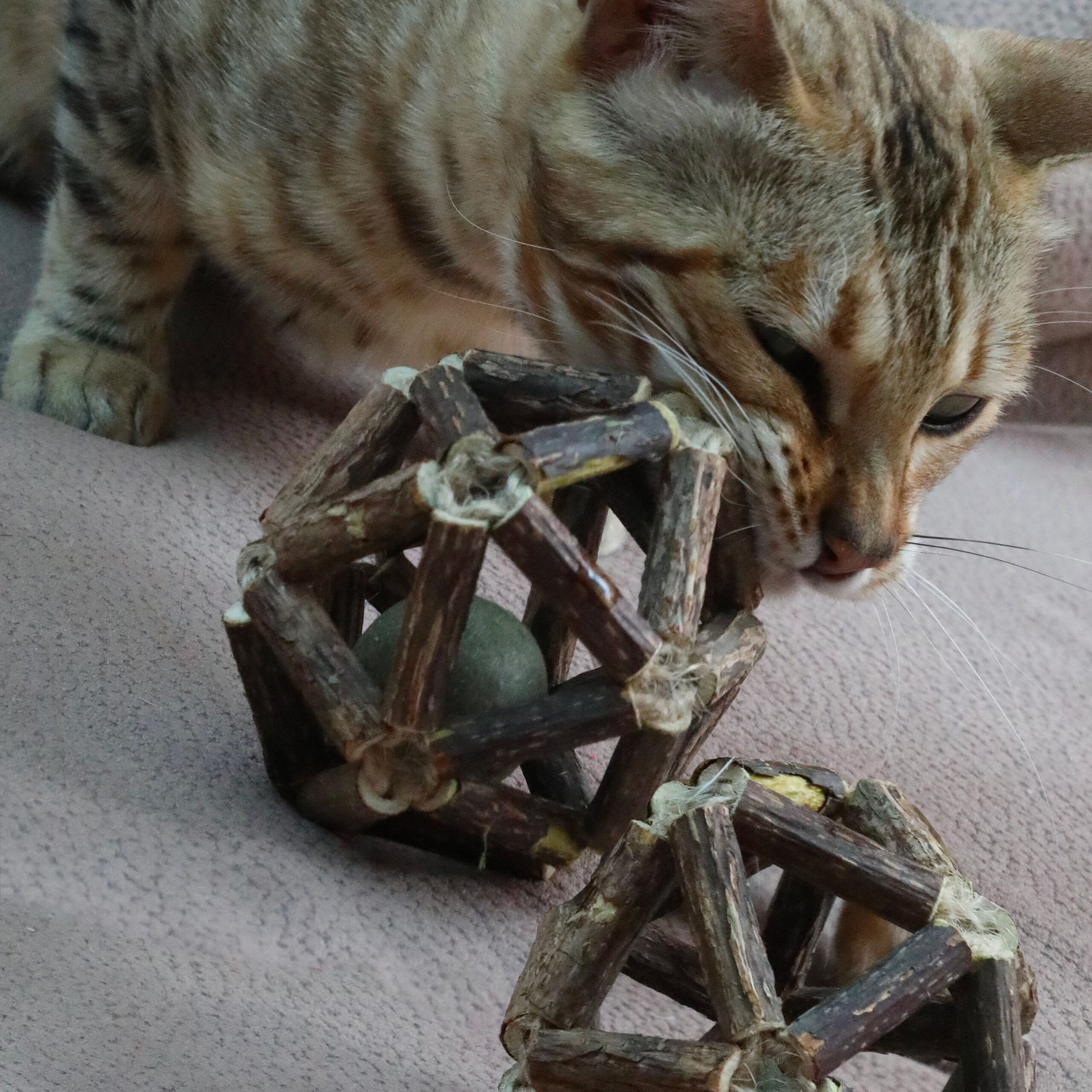 Juego de pelota para gatos con pelota de hierba gatera - Euphoria