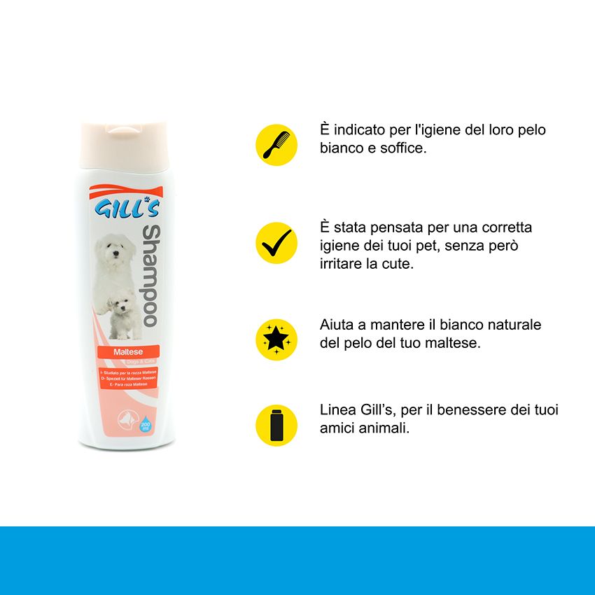 shampoo cane gills maltese