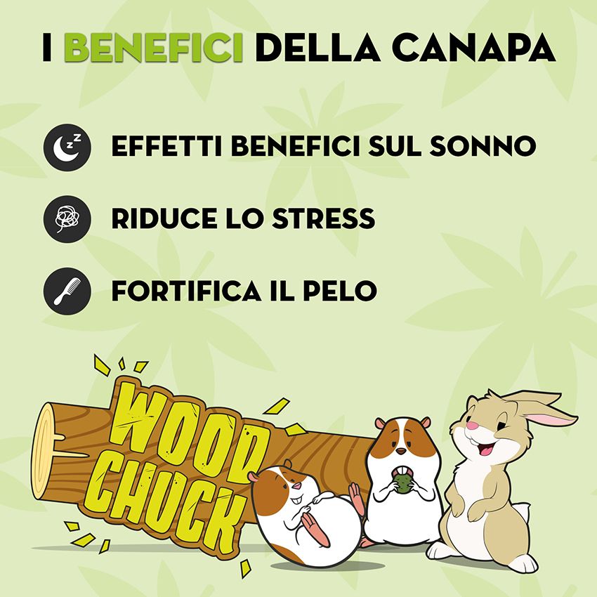 Snack per roditori canapa Woodchuck