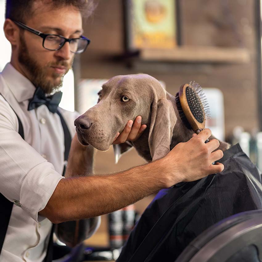 Spazzola cani doppia Barbershop