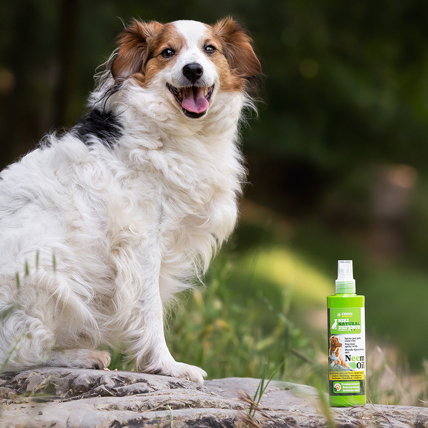 Niki Natural Defense Aceite de Neem en spray para perreras y tejidos