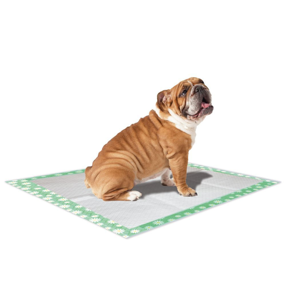 Tappetini assorbenti per cani Super Nappy Daisy