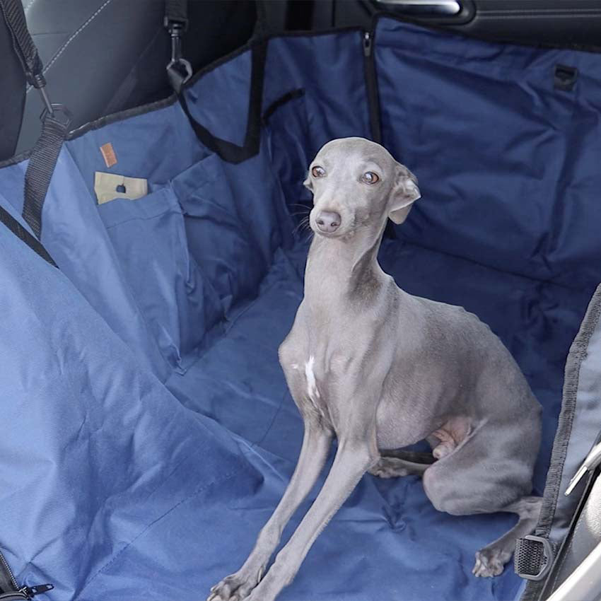 Funda impermeable para asiento de coche para perros - Dublín