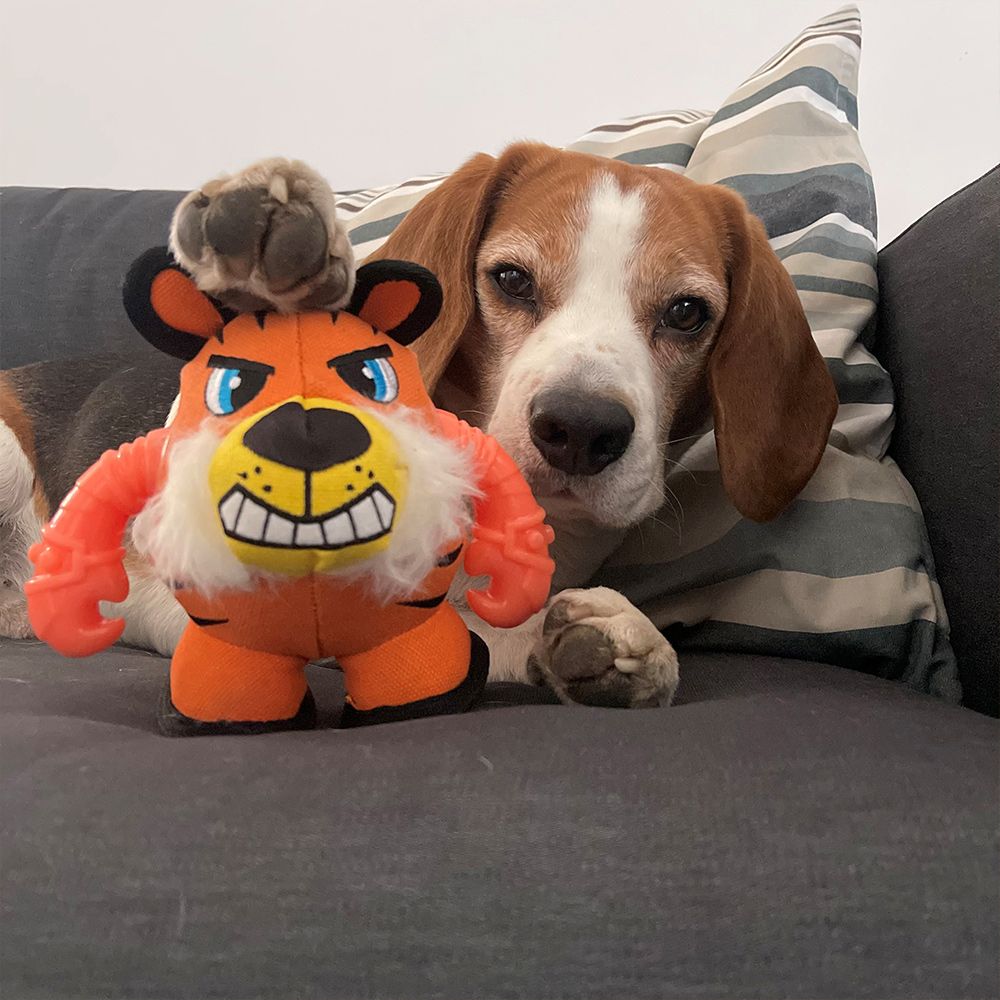 Warriors Tiger: gioco per cani peluche