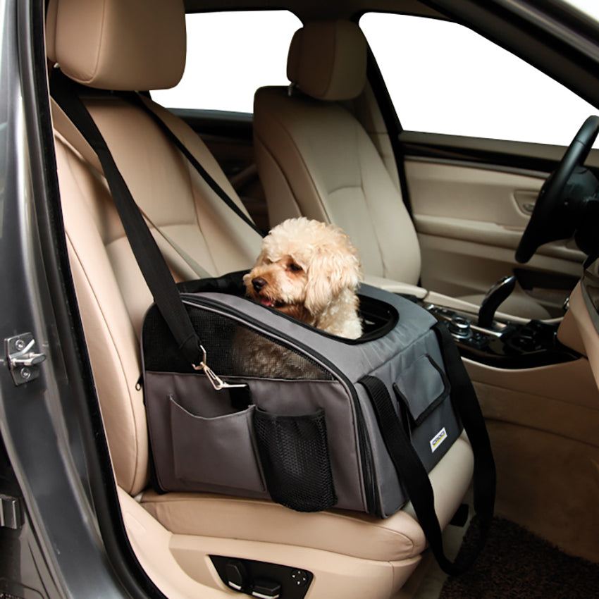 Hunde-Autotransporter – Passagier