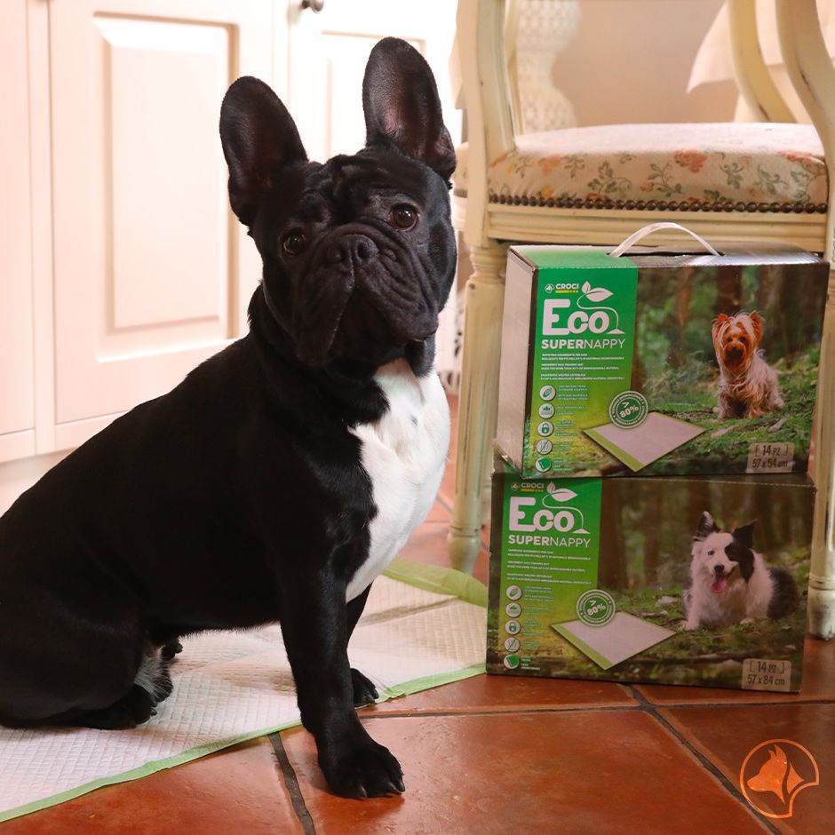 Traversine per cane Eco Super Nappy