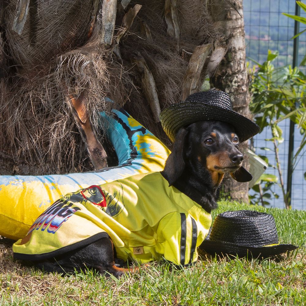 Increíble camiseta para perros