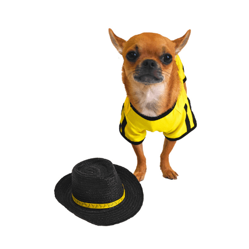 Blackie Straw Hat for Animals