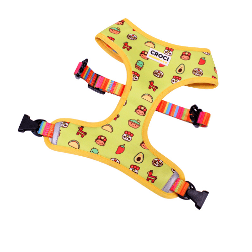 Harnais pour chien Guacamole