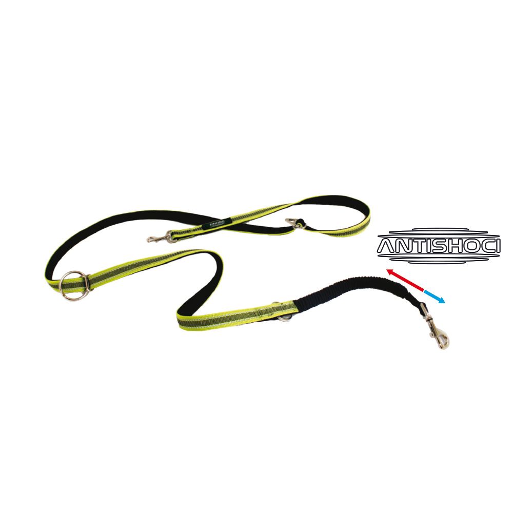 Hiking Adventure Leash for Dogs