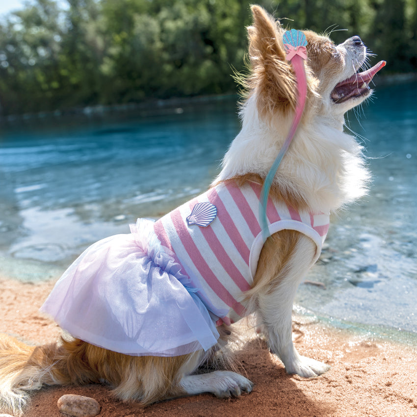 Vestido de perro - Sirena