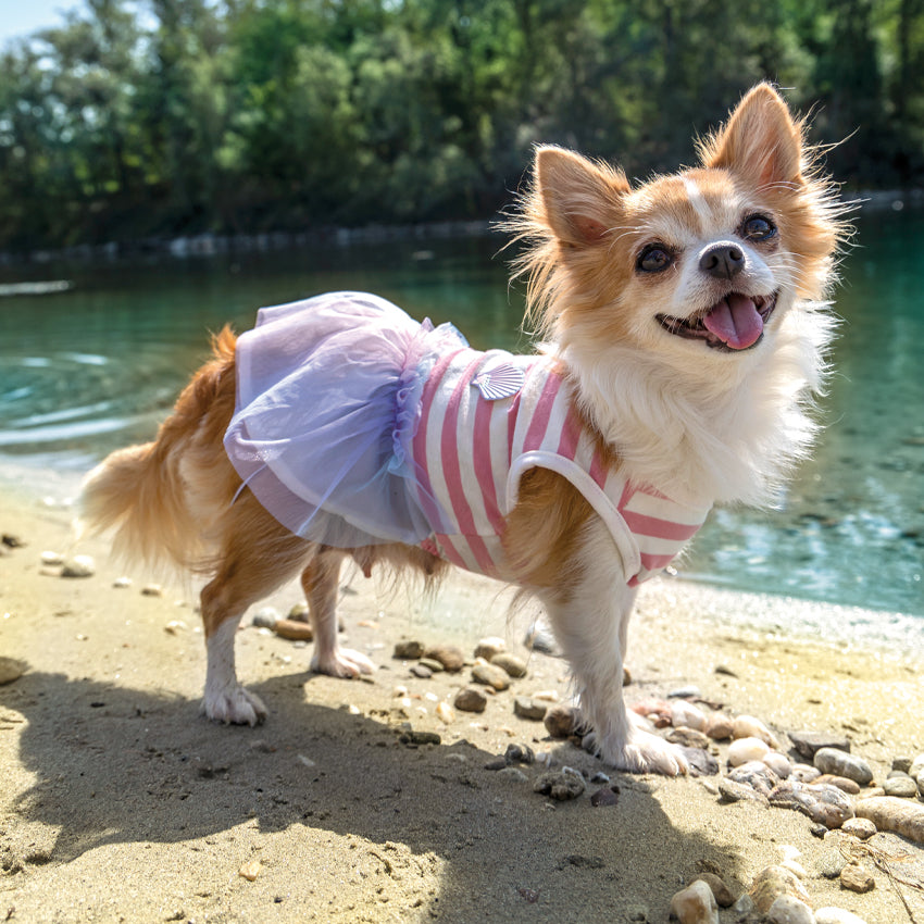 Vestido de perro - Sirena