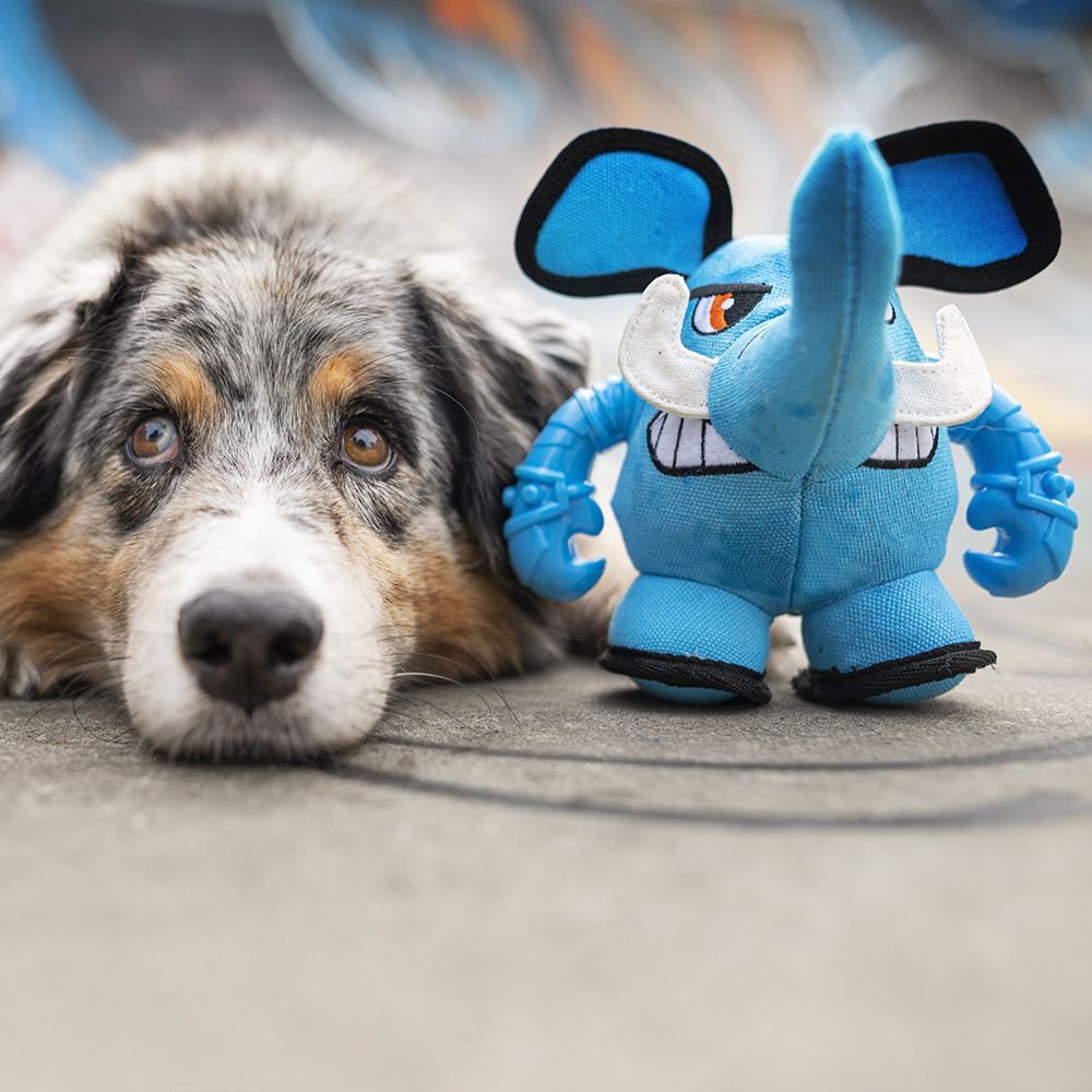Plüsch-Hundespiel - Warriors Phant