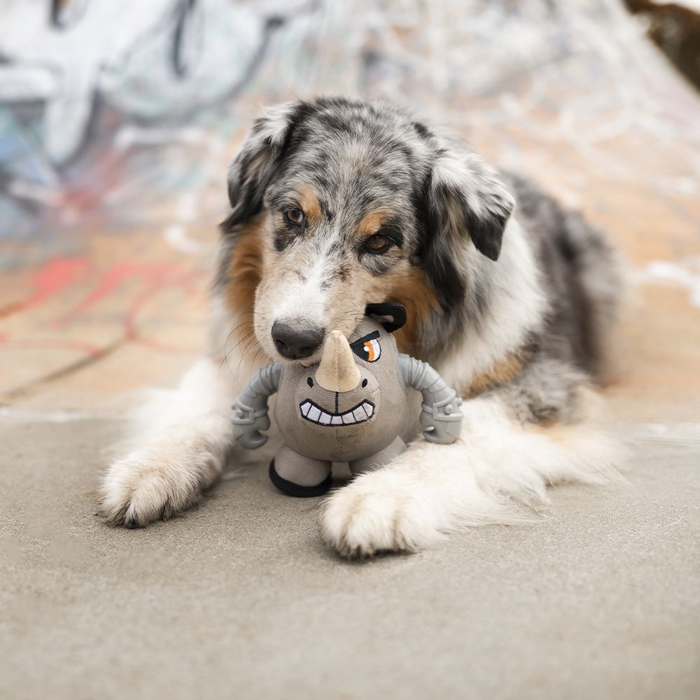 Juego de Perros de Peluche - Guerreros Rinok