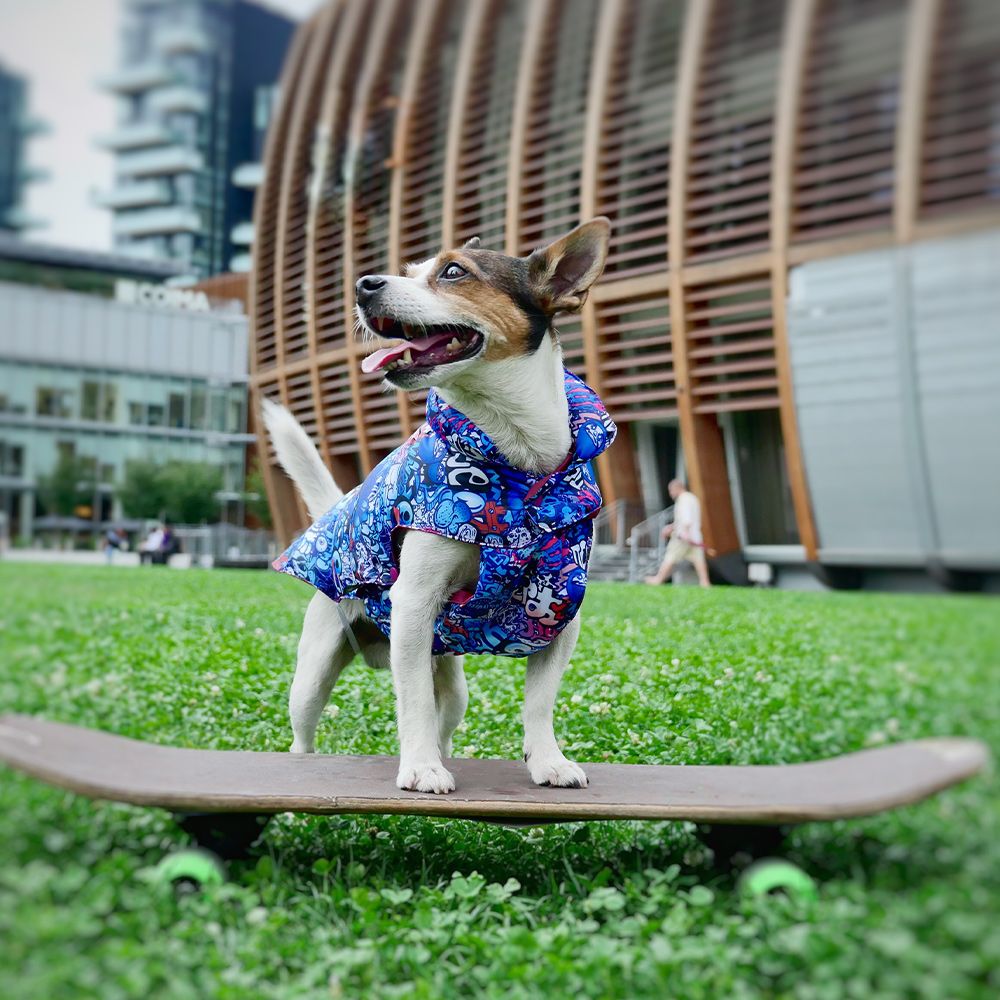 Chaleco de escritor para perros