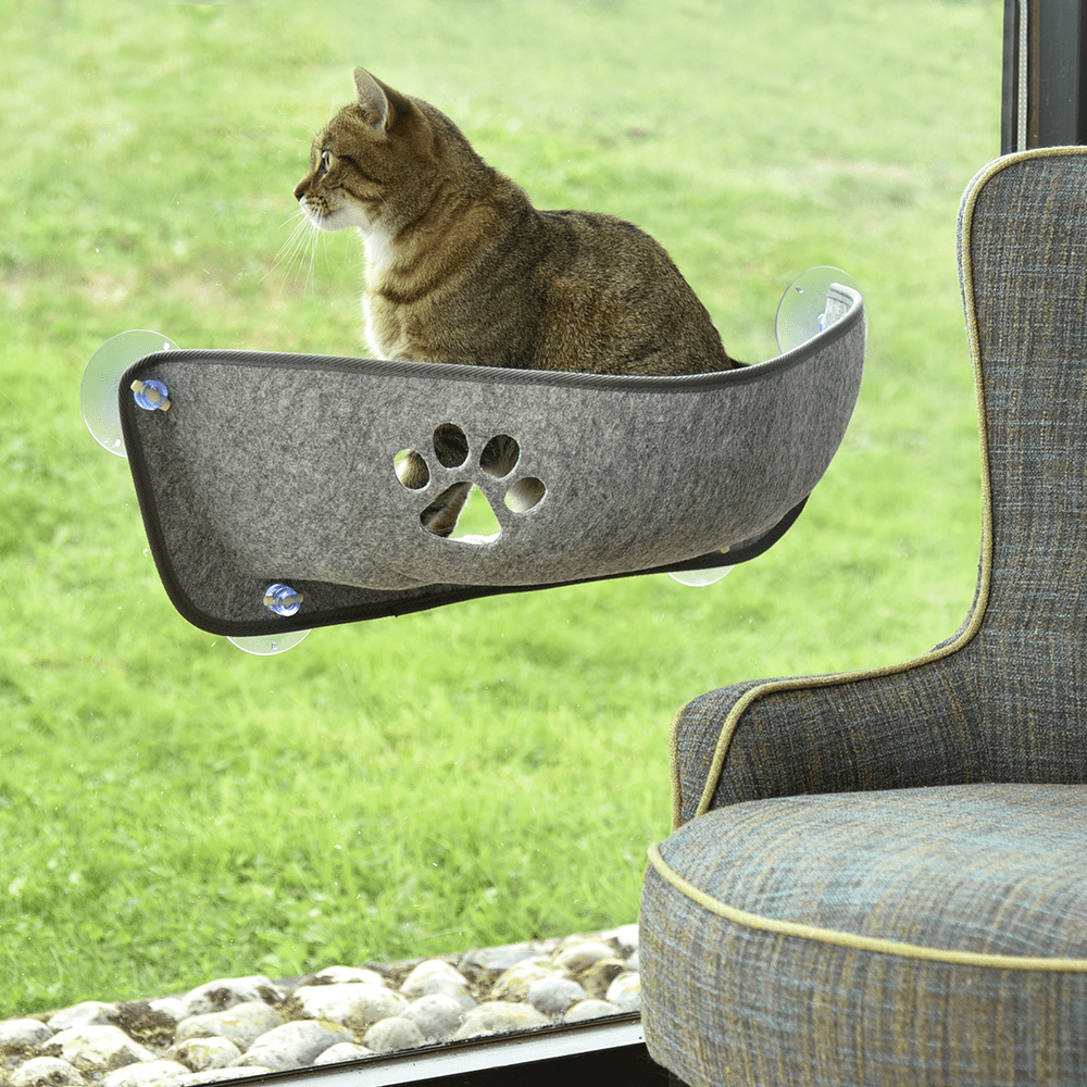 Bobby cat hammock with suction cups