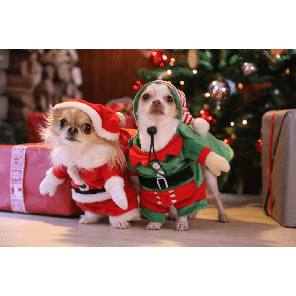 Xmas Elf Dress - Travestimento Natalizio per Cani e Gatti a Forma di Elfo