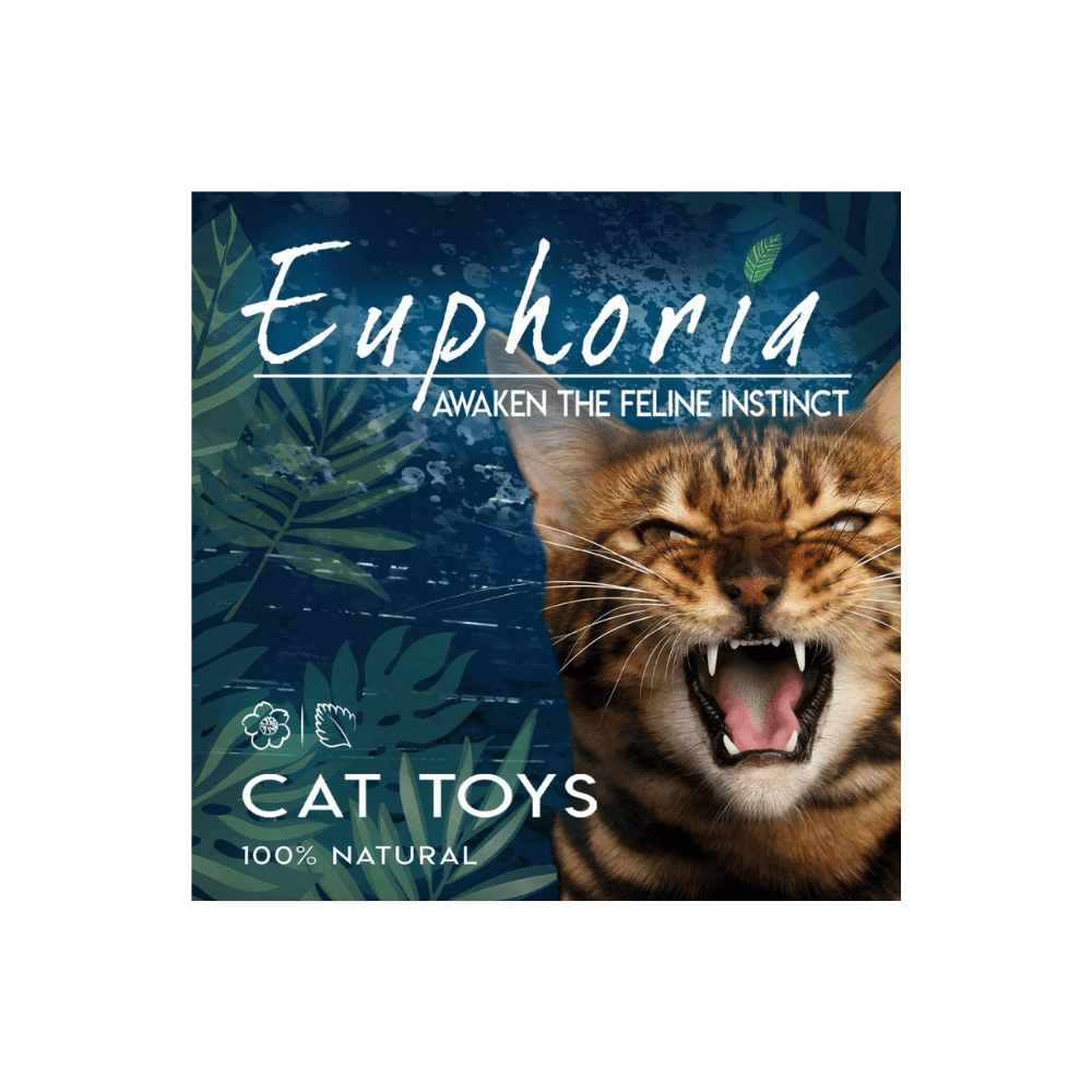 Boule d'herbe à chat avec plume - Euphoria