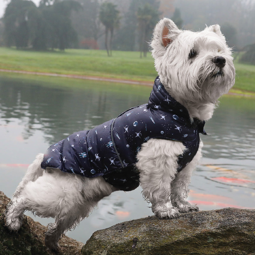 Giubbotto imbottito per cani con stampa Space in acrilico
