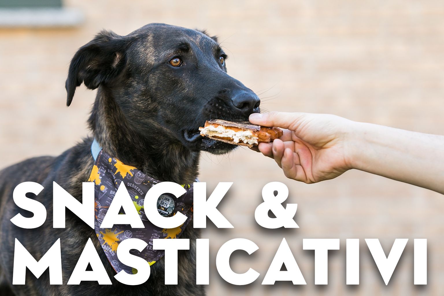 Masticazione snack per cani