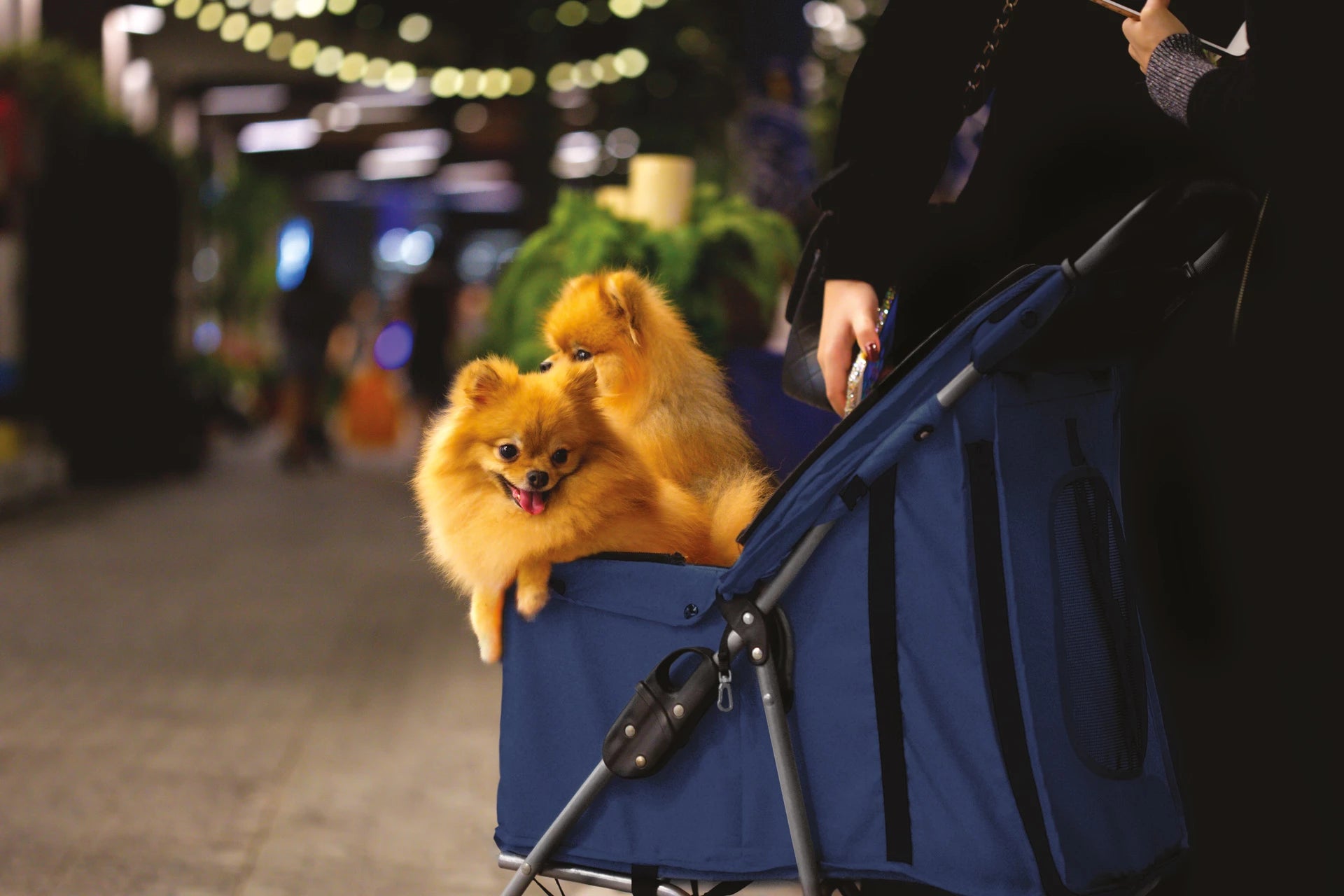 Borse e trasportini per cani