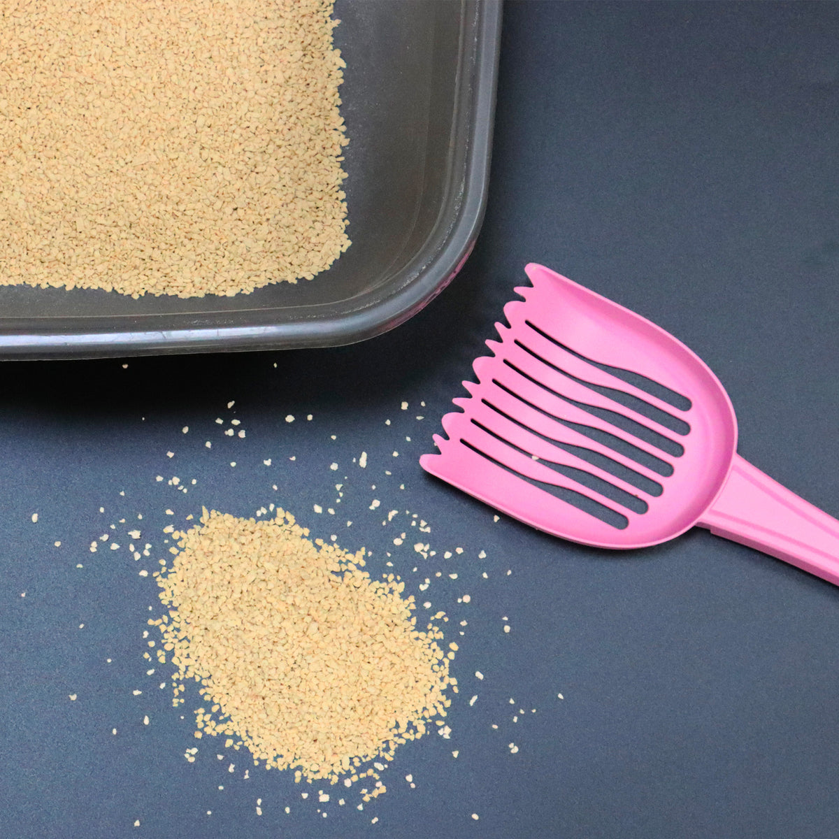 Corn Clean Mais Lettiera Vegetale Agglomerante con Controllo degli Odori