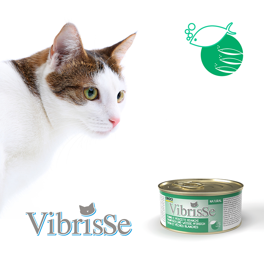 Comida natural para gatos - Vibrisse Natural