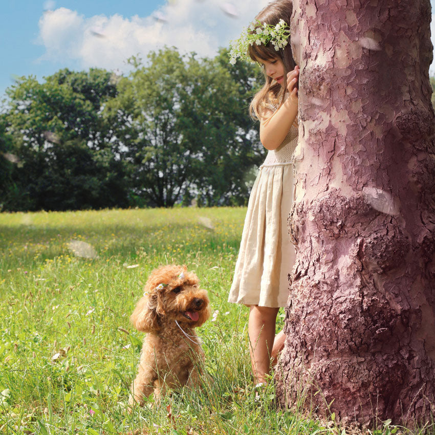 Laisse pour chien de cérémonie - Marié