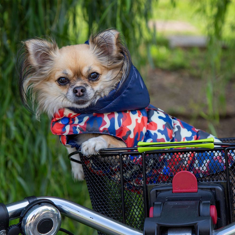 Aspen Camouflage Jacket for Dogs