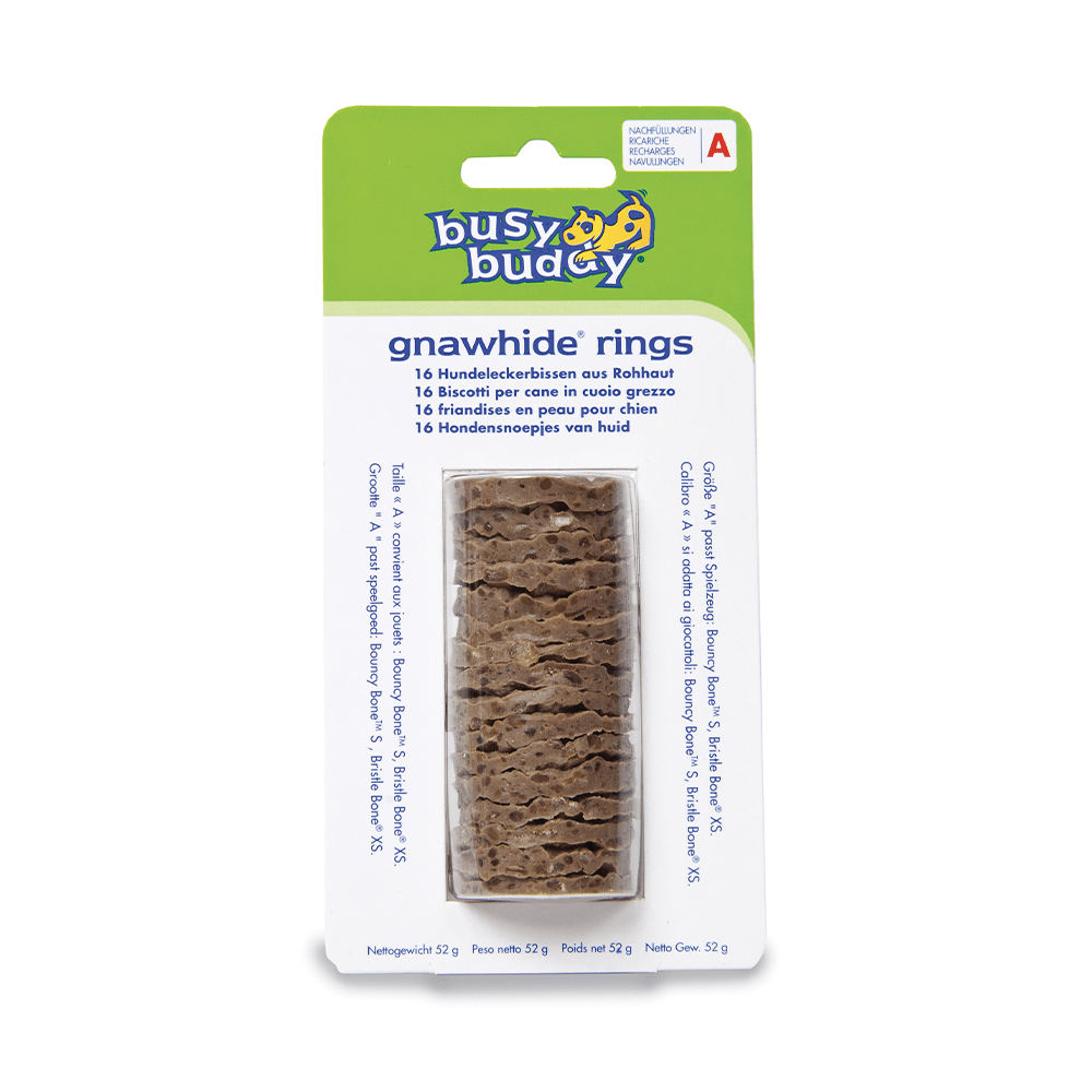 Biscotti per gioco cane - Petsafe bristle bone 2