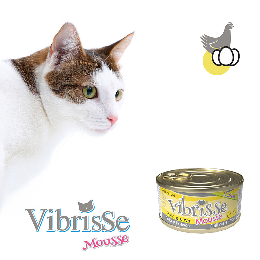 Kätzchenfutter - Vibrisse Kittens Mousse 70g