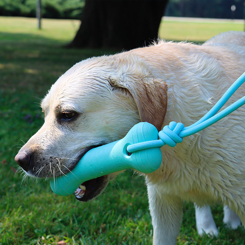 Gioco per cani in gomma resistente con corda e maniglia