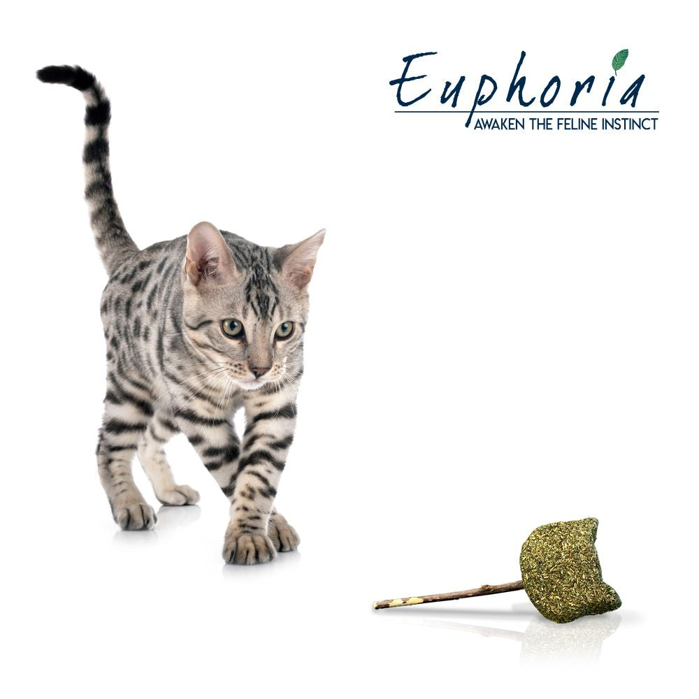 Silvervine and catnip wand - Euphoria Stick Cat Face 