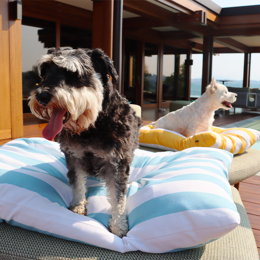 Cuscino per cani imbottito fantasia righe giallo/blu