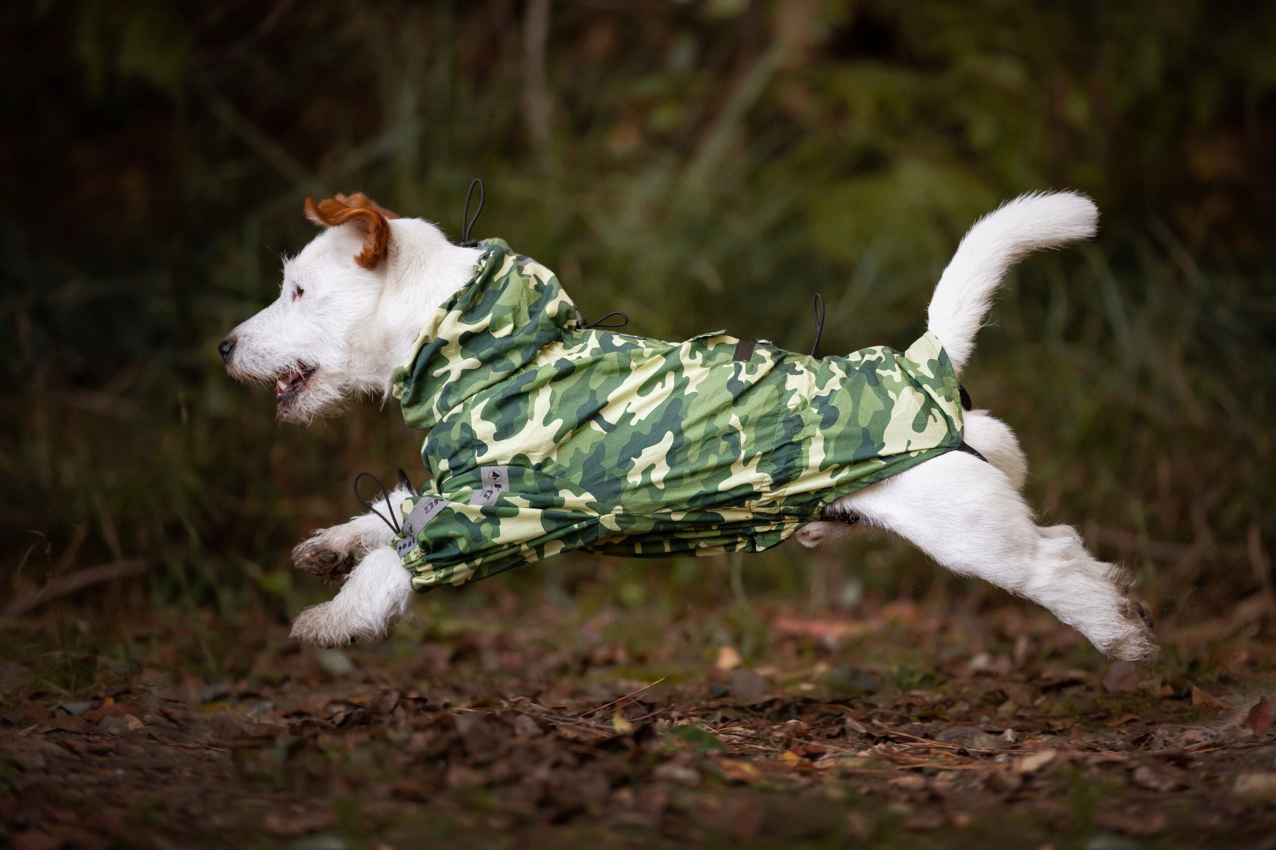 Cappotti impermeabili cani Hiking Go Mimetico