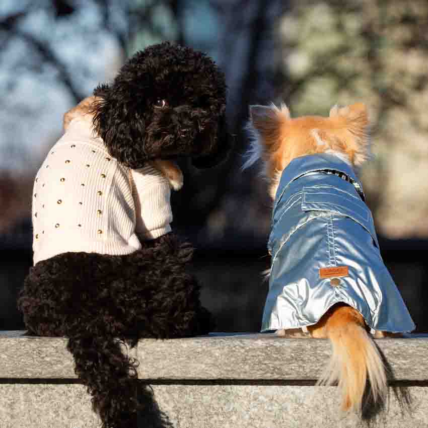 Cappotto impermeabile per cane Montreal Perlaazure