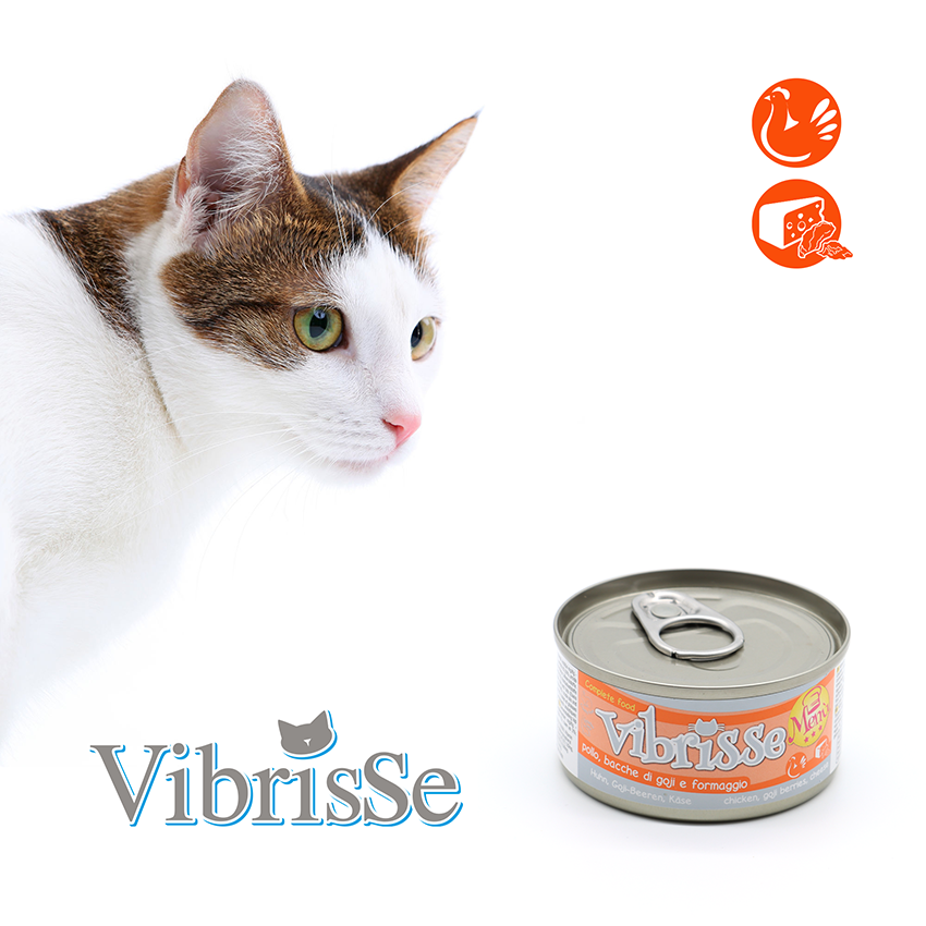 Natural cat food - Vibrisse Menu 70g